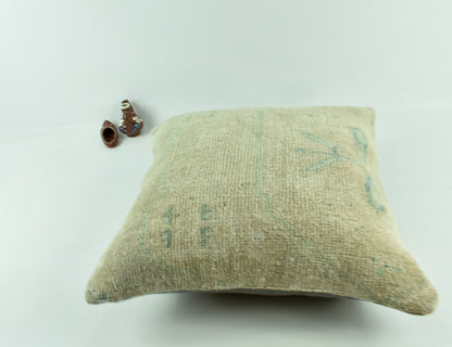 Oushak Kilim Pillow Cover 20x20 Handknotten Vintage Sofa Cushion Cover A2781