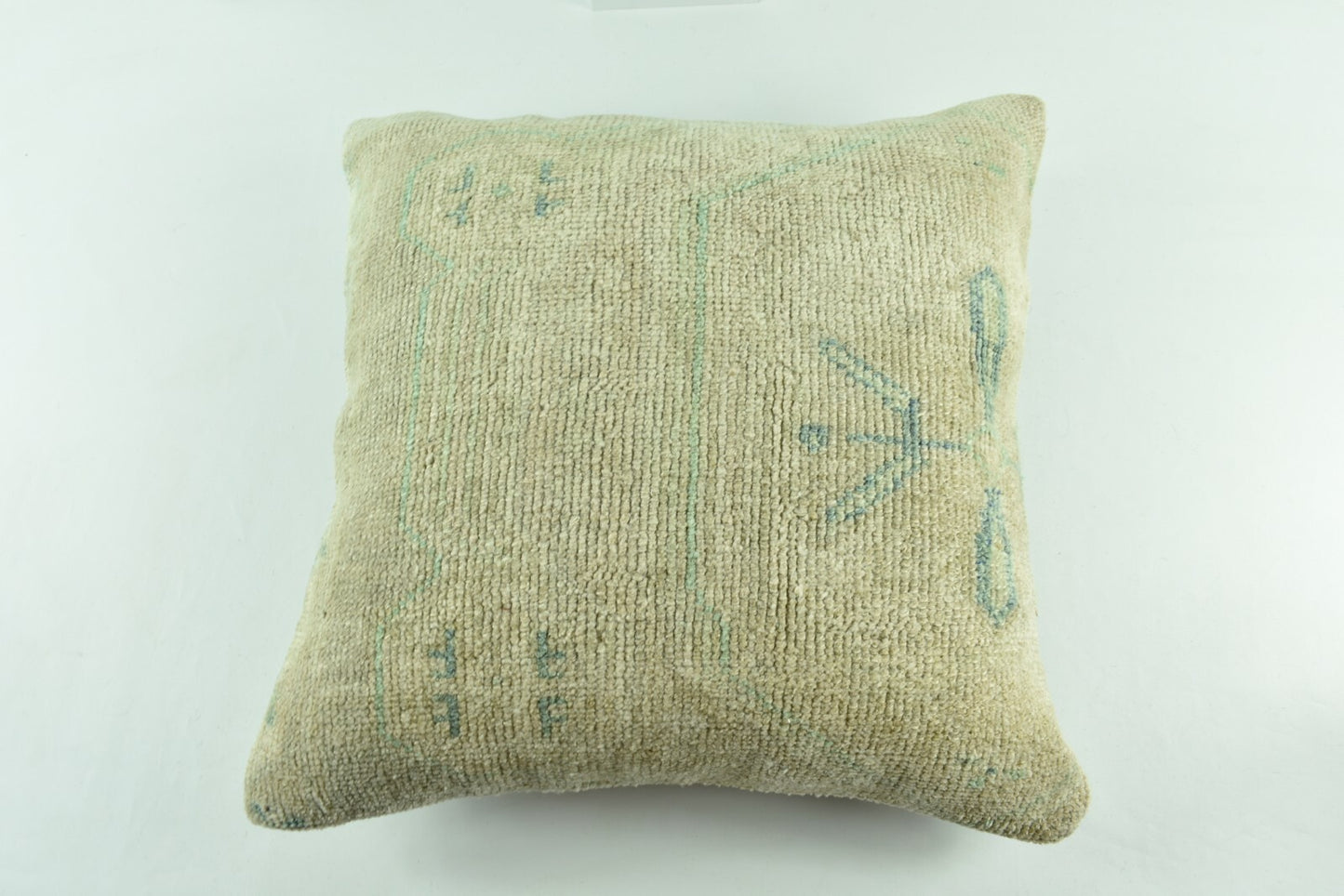 Oushak Kilim Pillow Cover 20x20 Handknotten Vintage Sofa Cushion Cover A2781