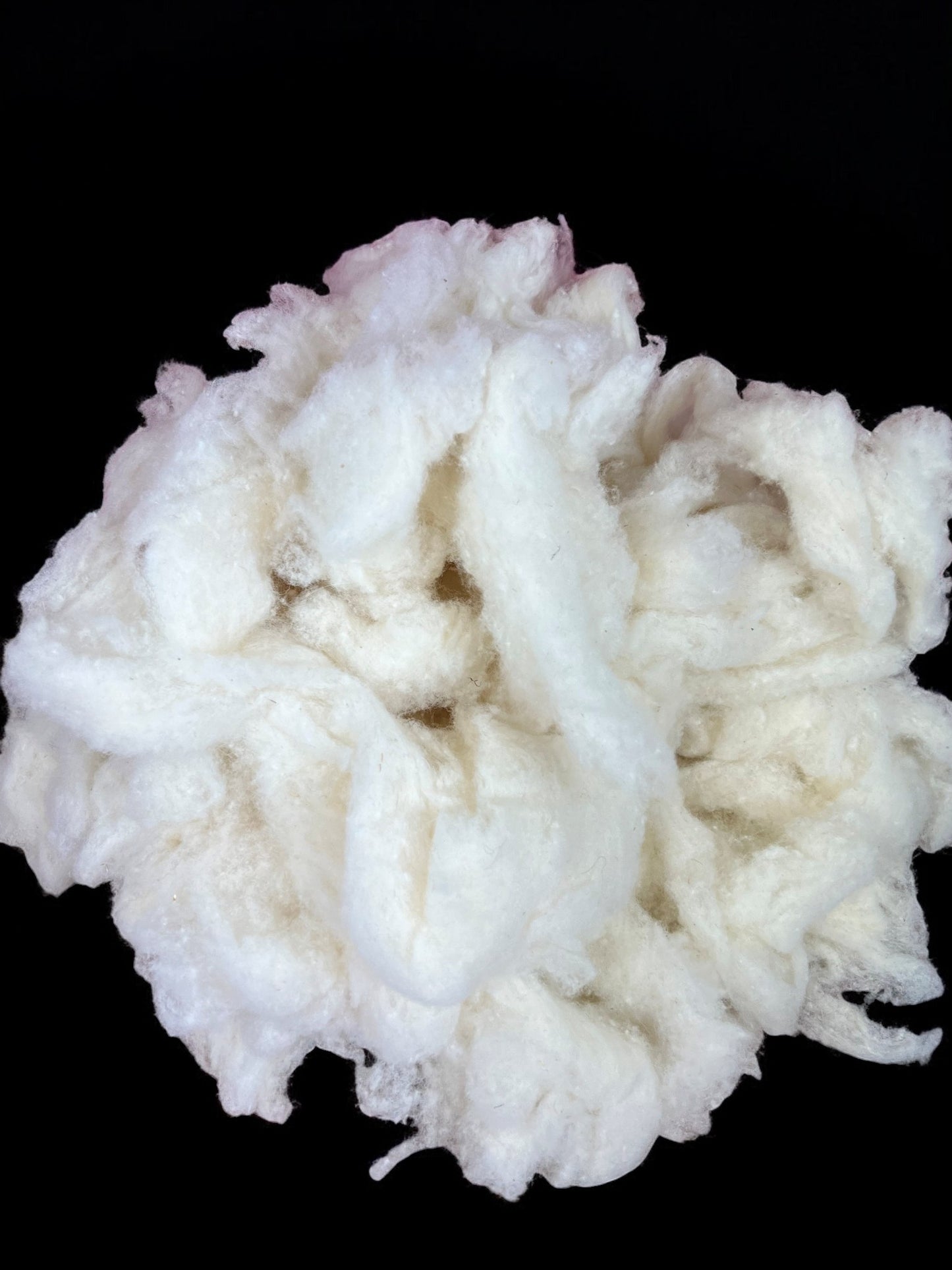 Wool Pillow Insert - Natural Wool Filled Lumbar and Throw Pillow Filler